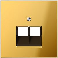 Лицевая панель Jung LS990 metal для 2-м. розетки RJ11/RJ45 золото картинка